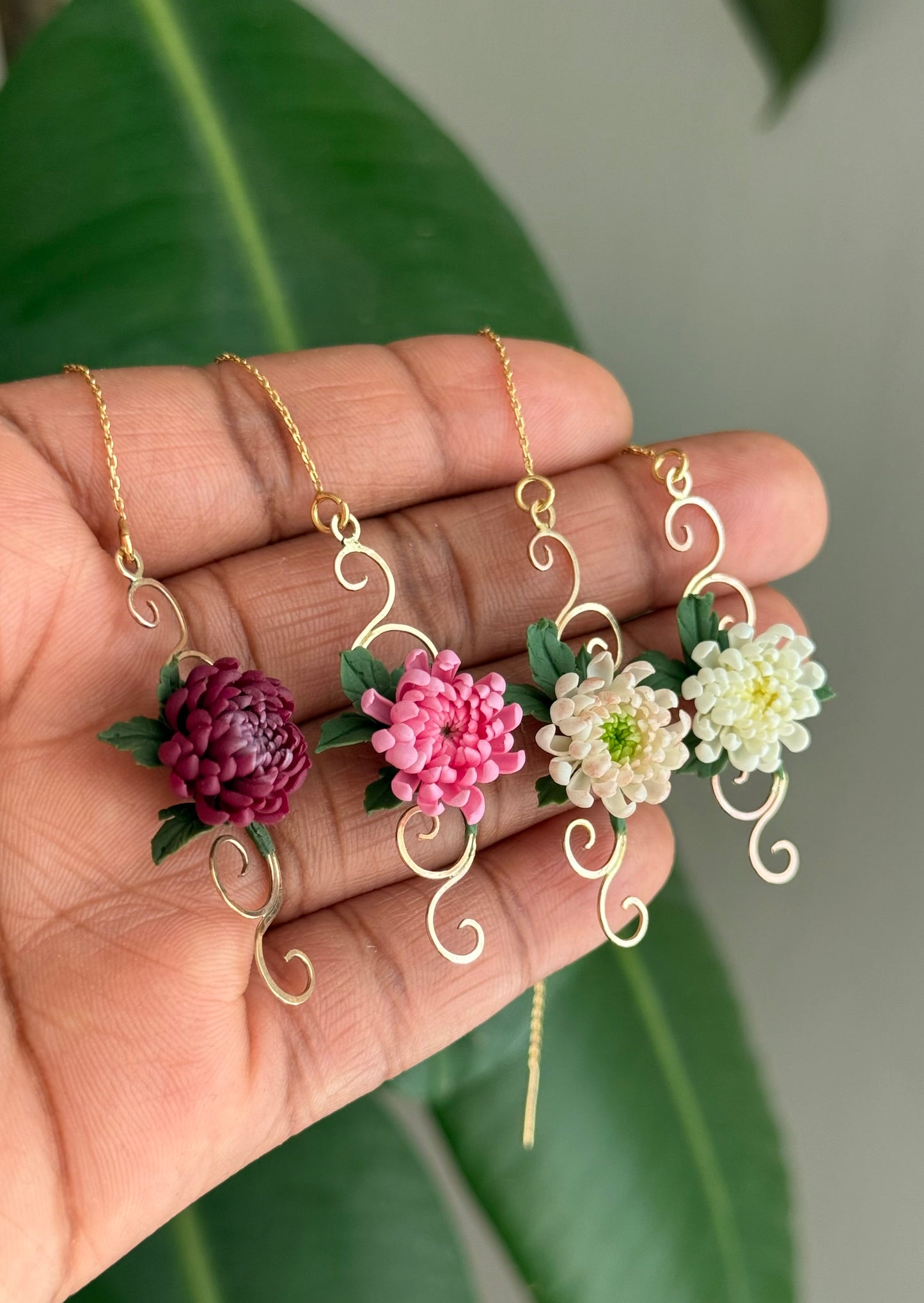 Aurelia: Chrysanthemum