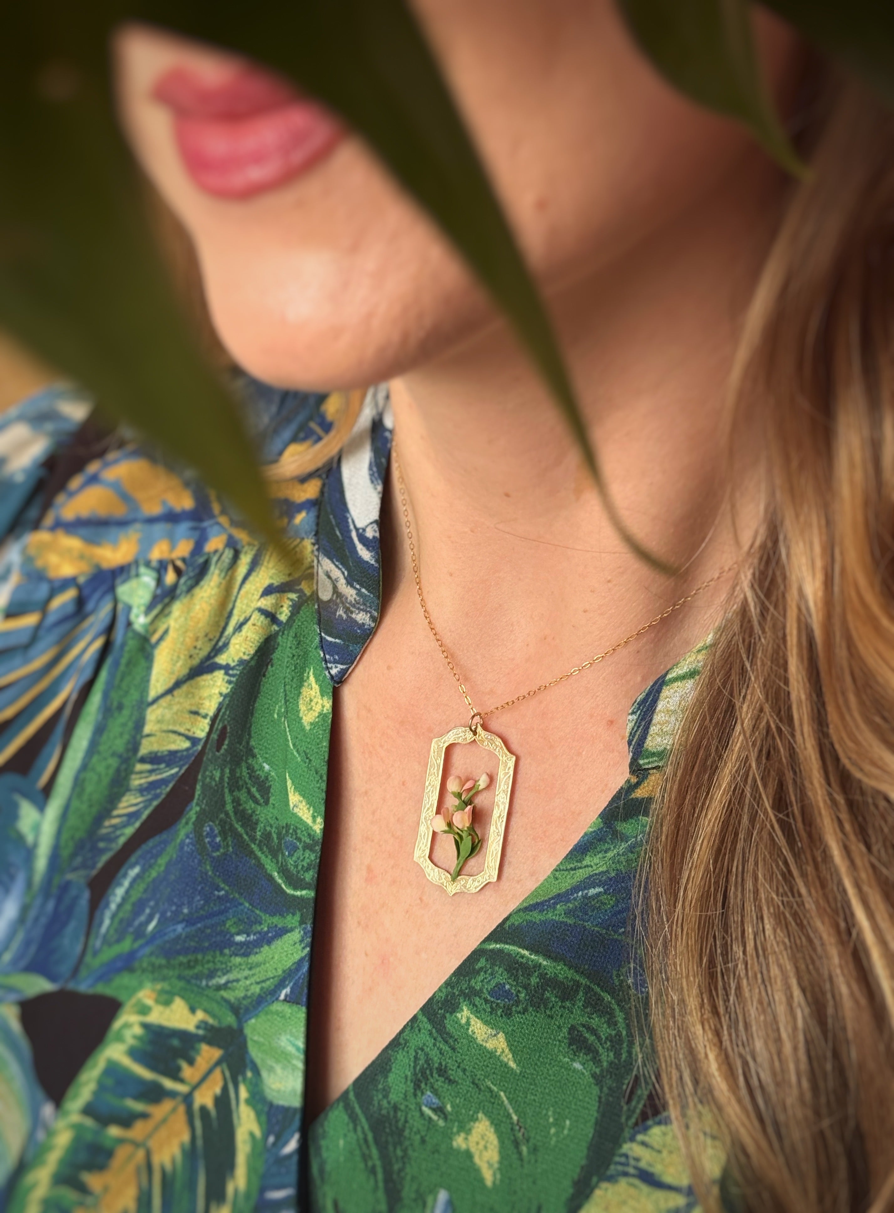 MOACHIM X ENTANGLED ROOTS