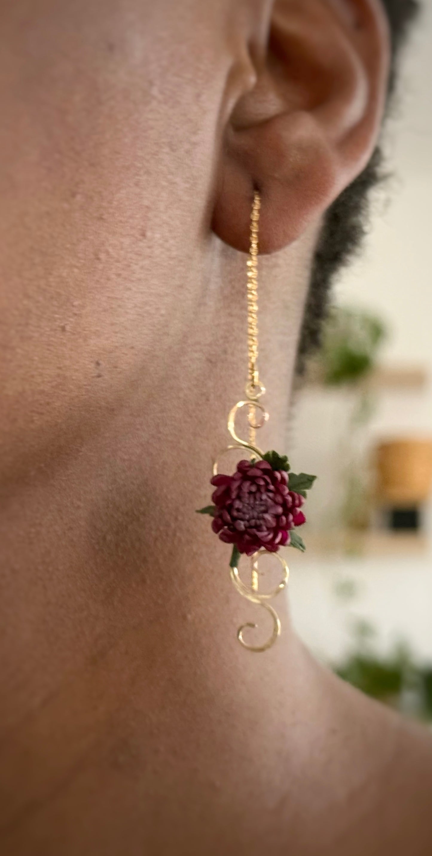 Aurelia: Chrysanthemum