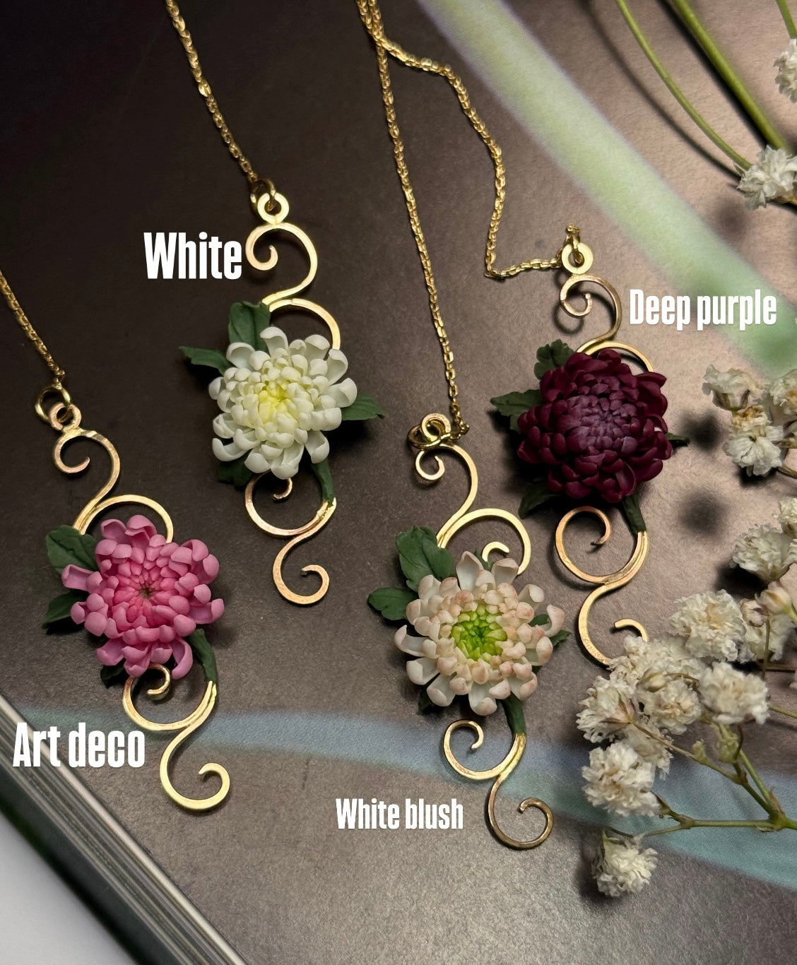 Aurelia: Chrysanthemum