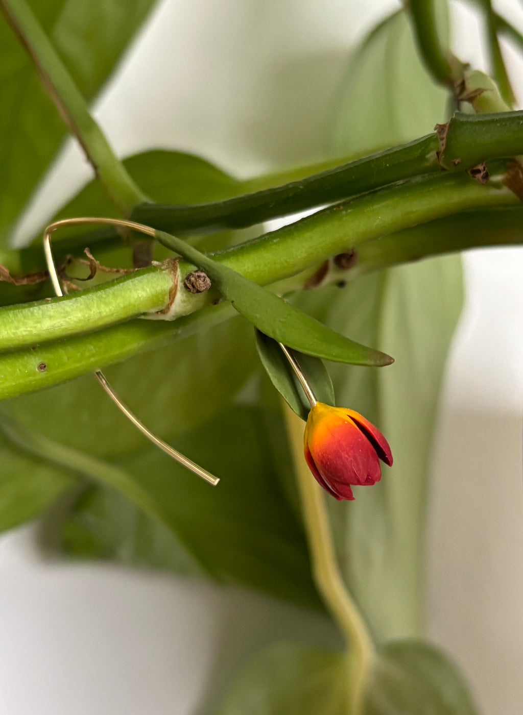 Tulip Dangles: Amber Glow