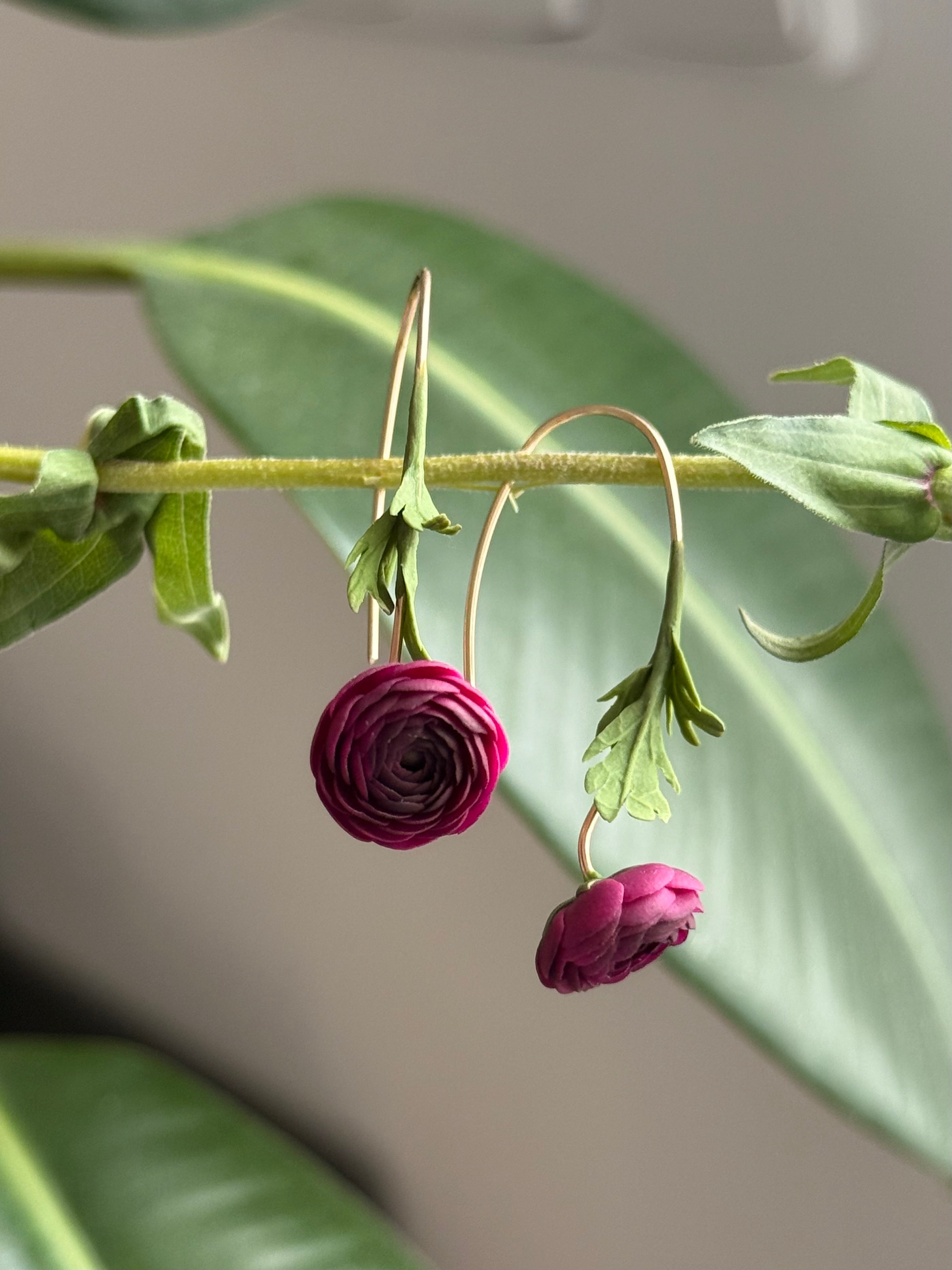 Ranunculus Dangles: Wine