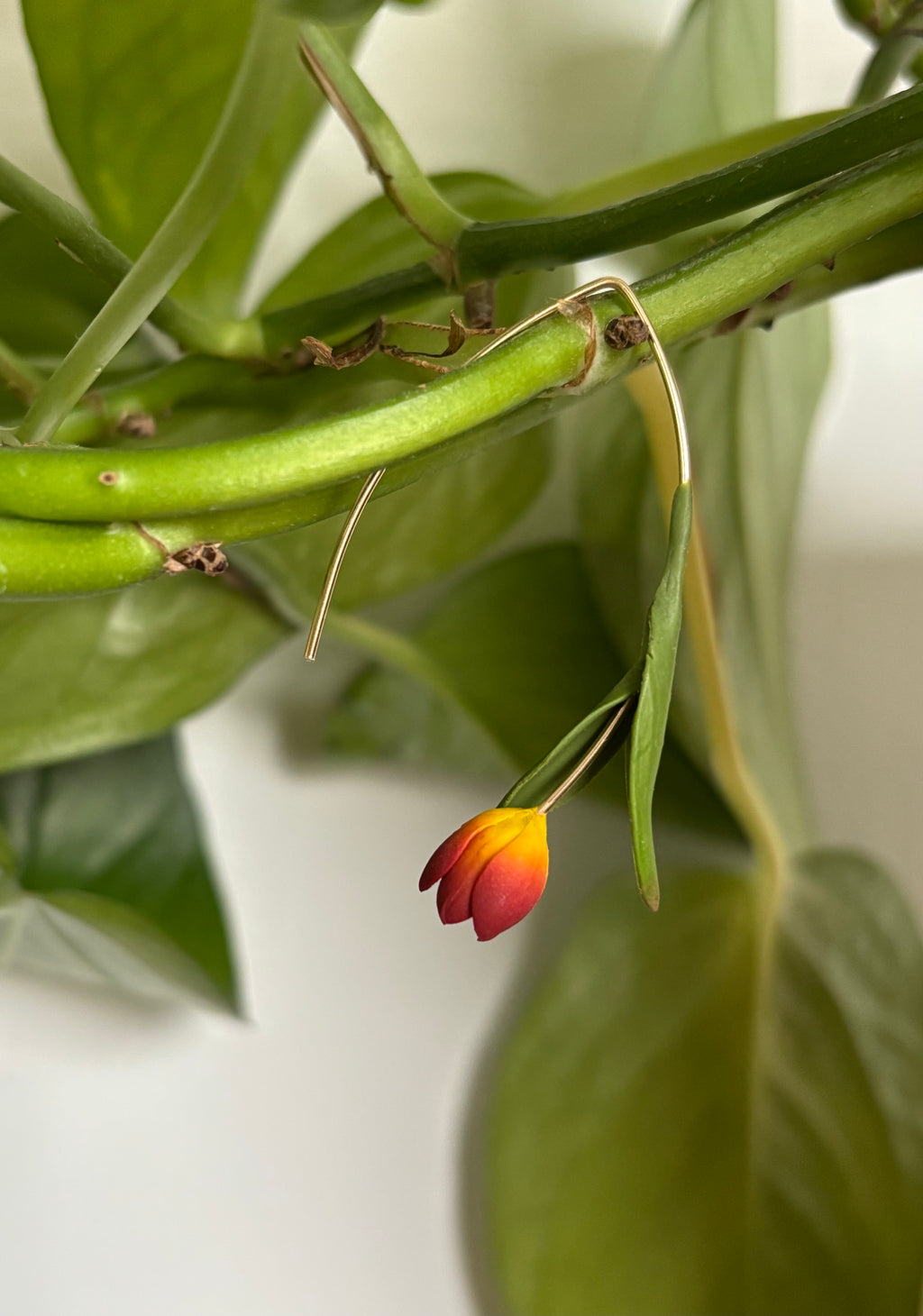 Tulip Dangles: Amber Glow