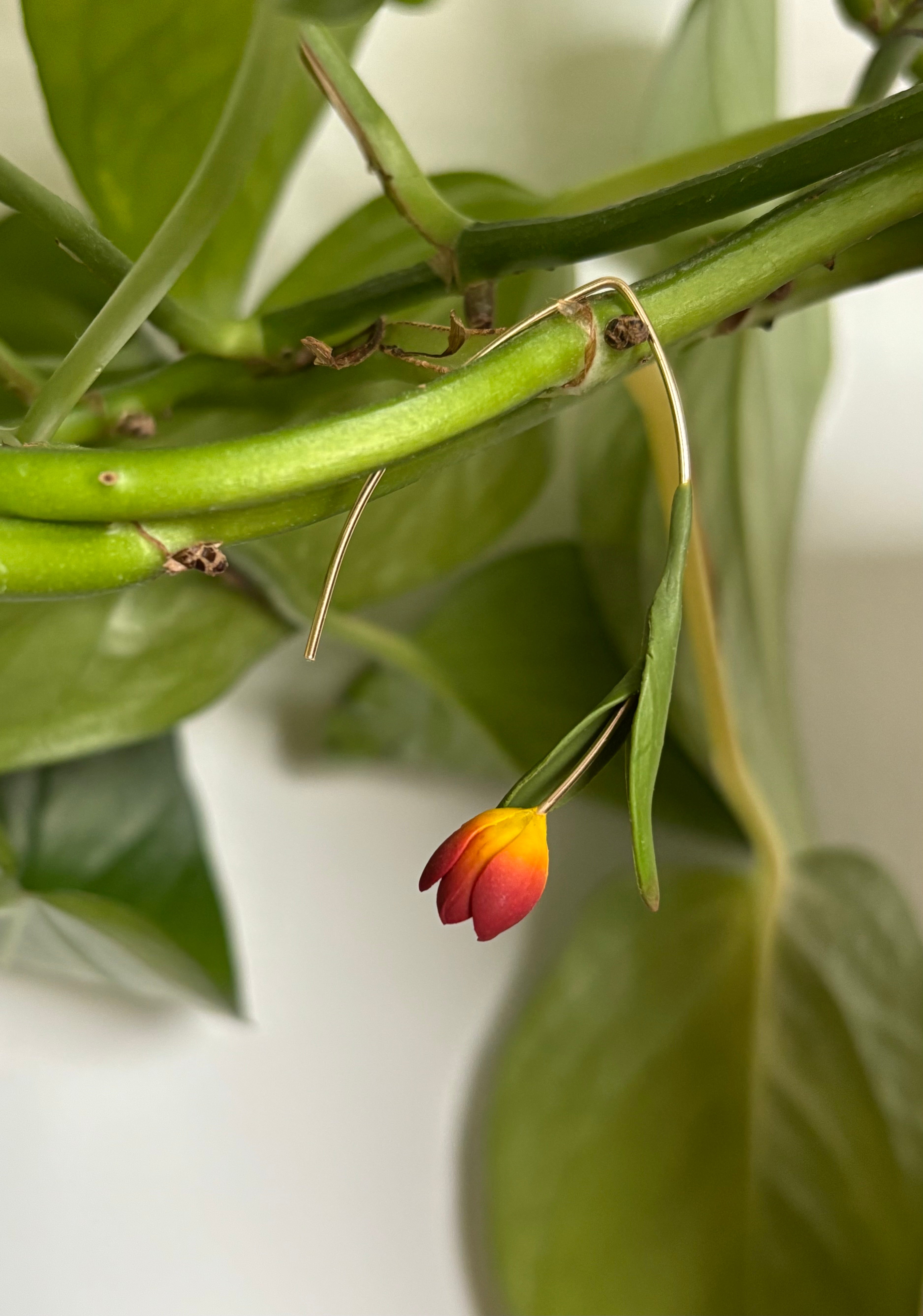 Tulip Dangles: Amber Glow