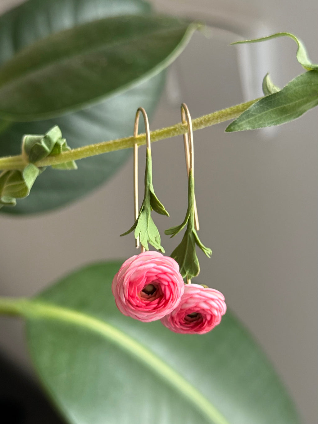 Ranunculus Dangles: vibrant Pink
