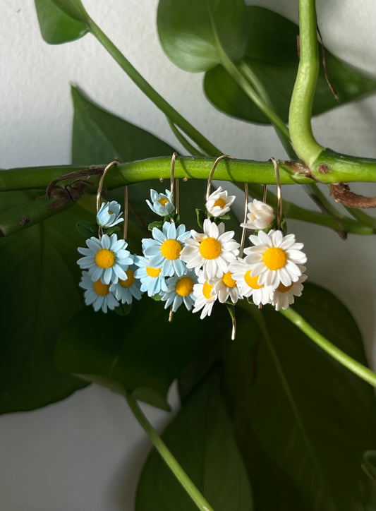 Daisy