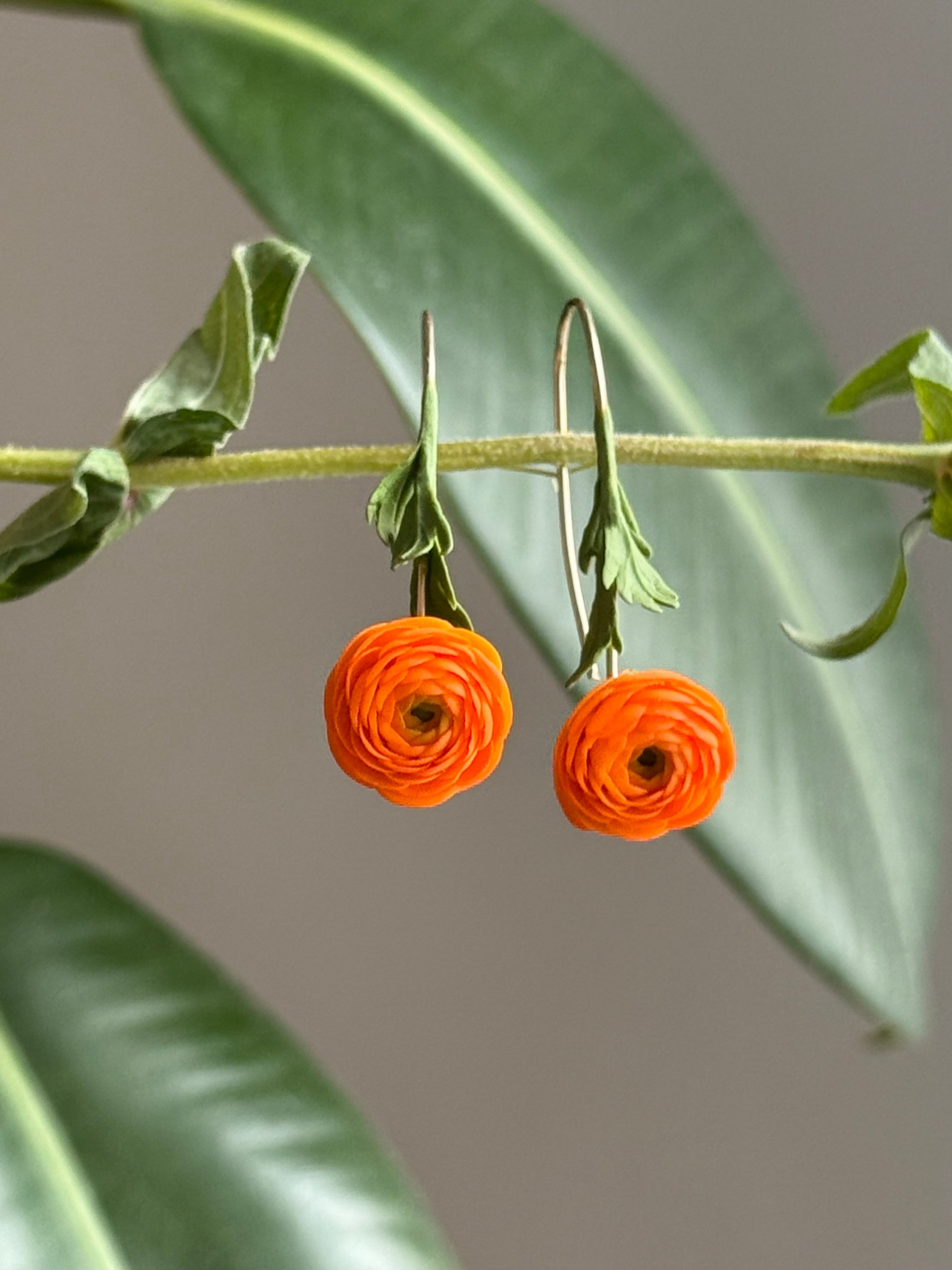 Ranunculus Dangles: Orange