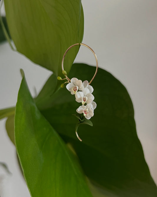 Orchids: Infinity inspired frame