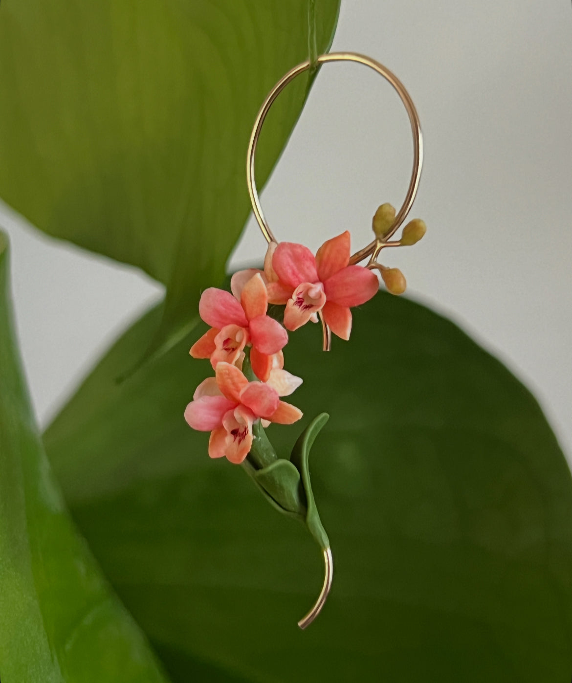Orchids: Infinity inspired frame