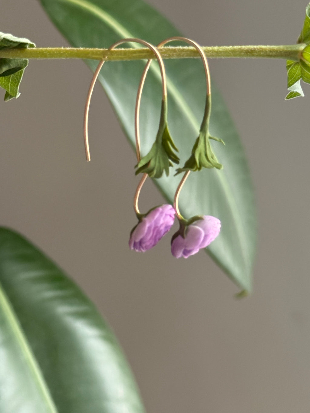 Ranunculus Dangles: Lilac