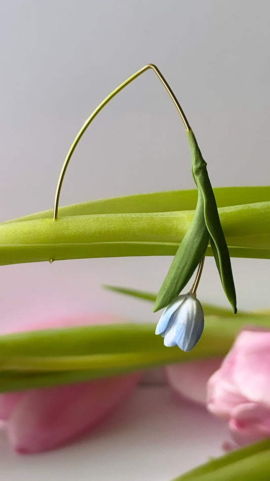 Tulip Dangles: White/light blue edge