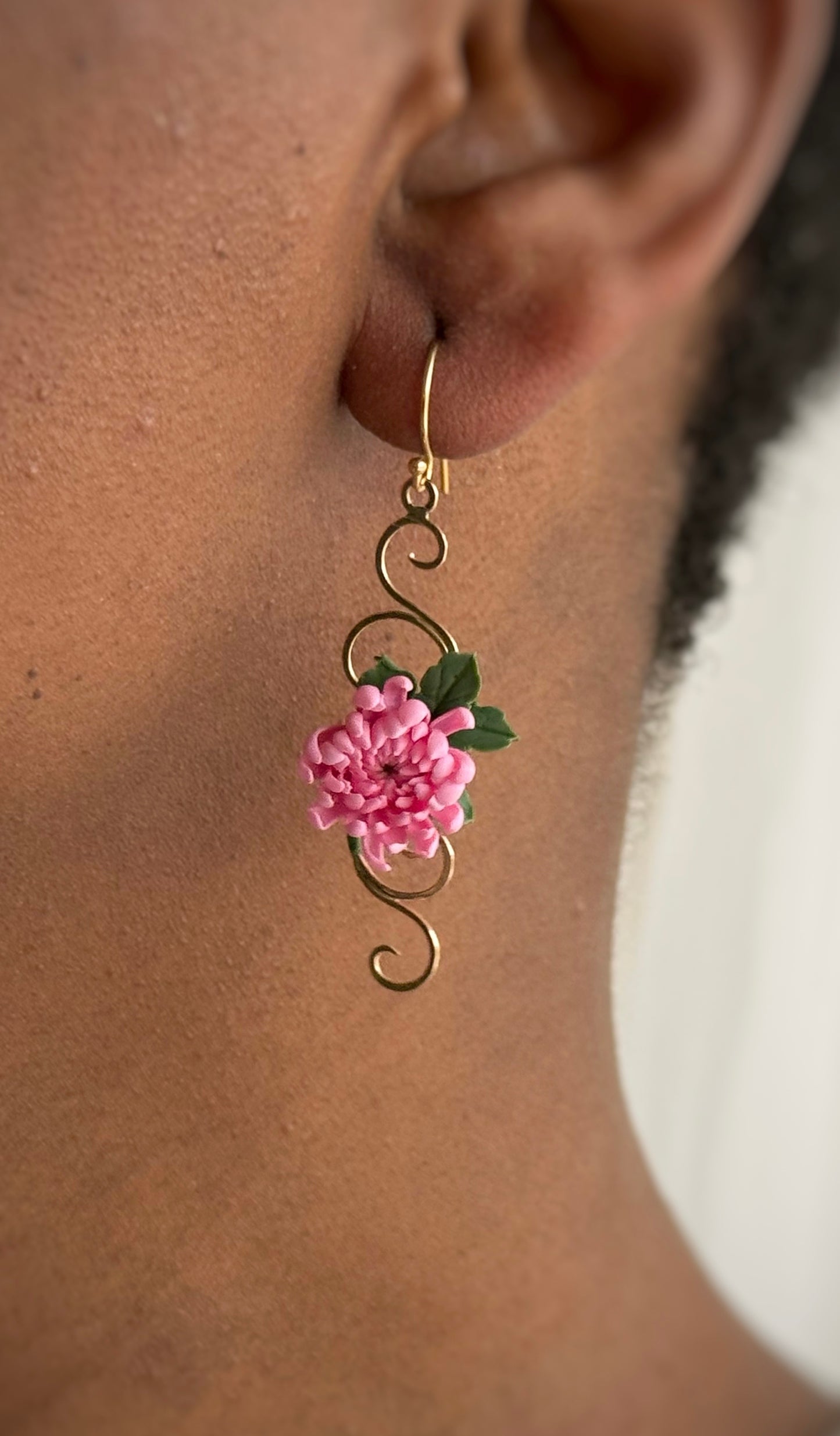 Aurelia: Chrysanthemum