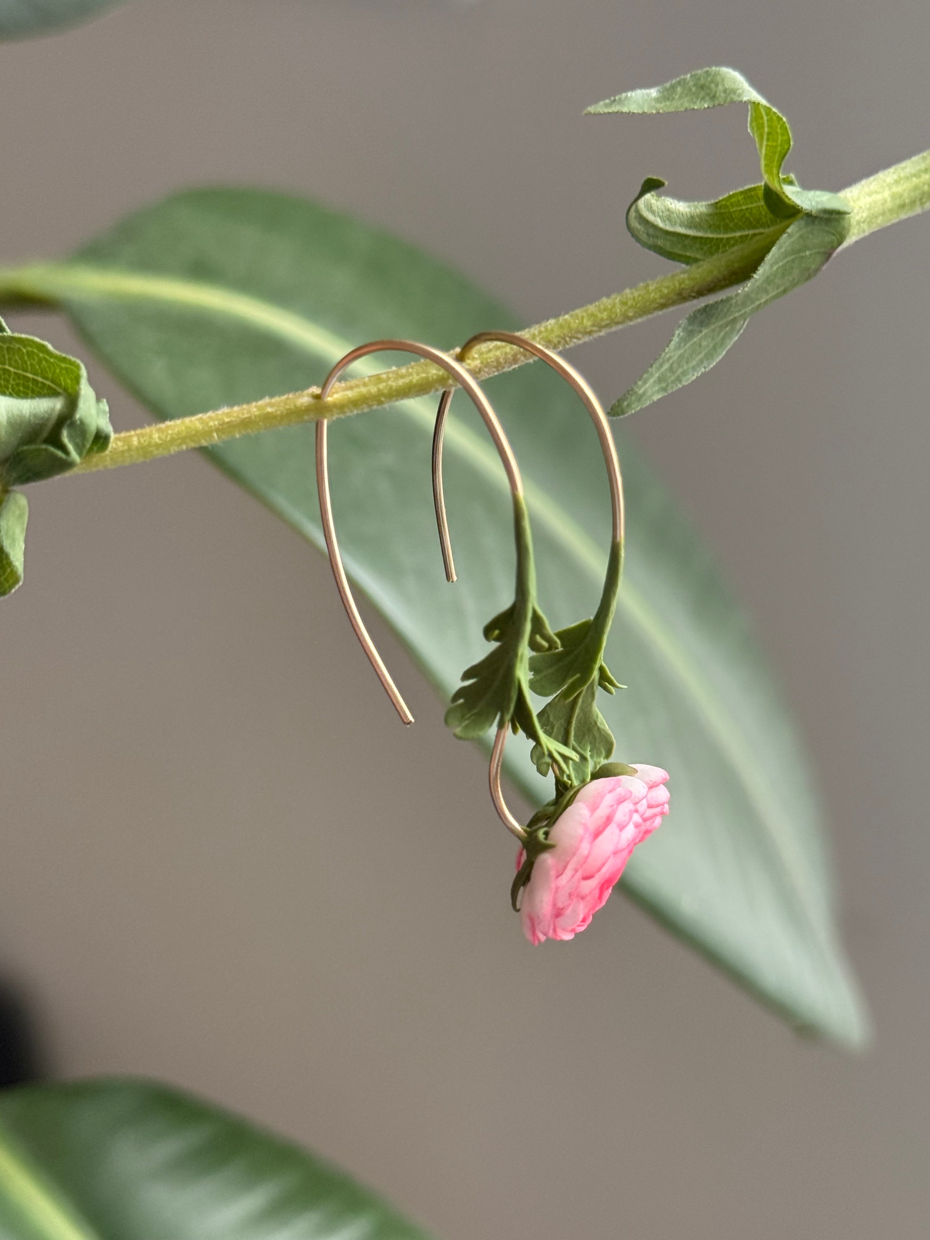 Ranunculus Dangles: vibrant Pink