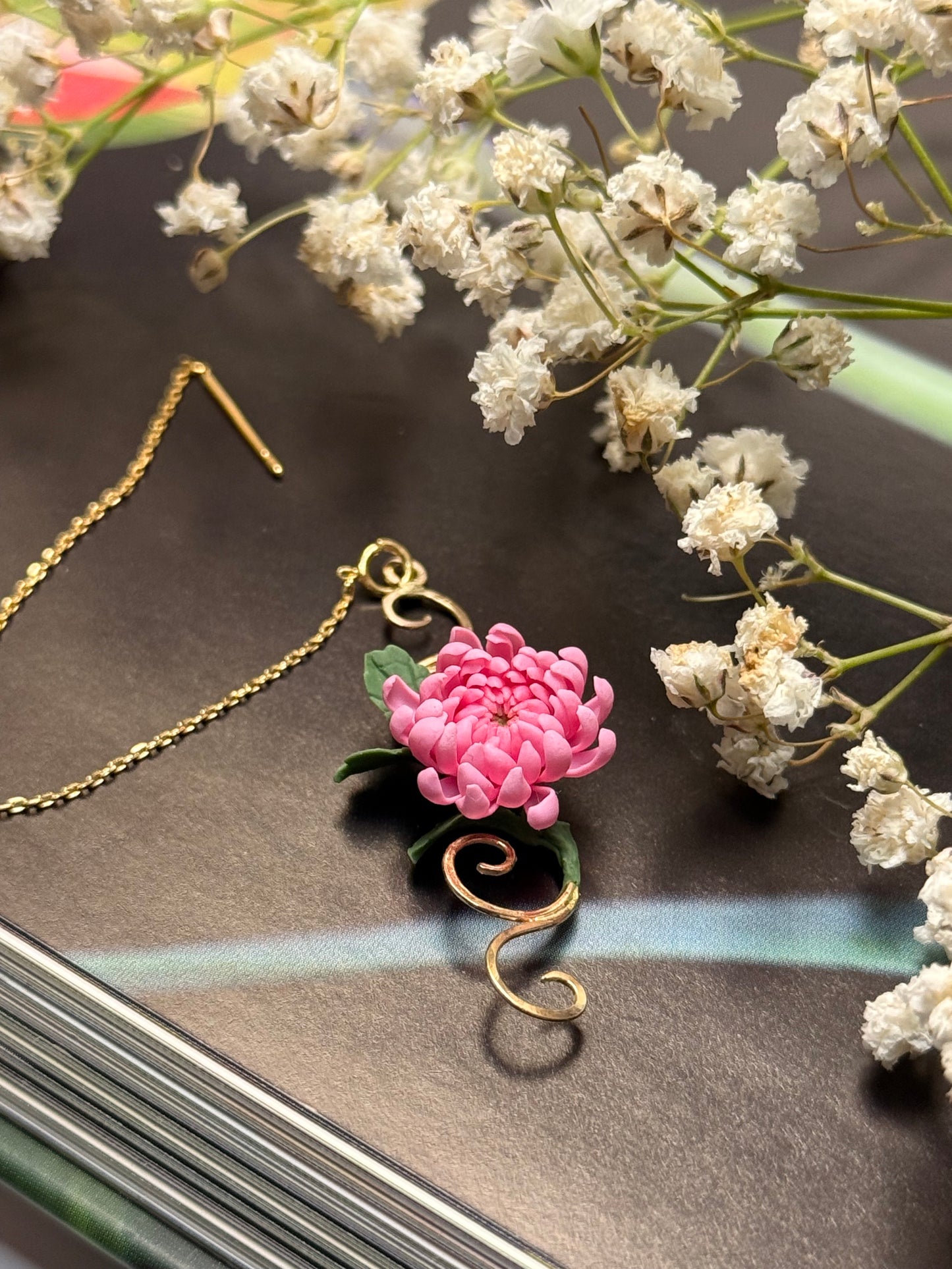 Aurelia: Chrysanthemum