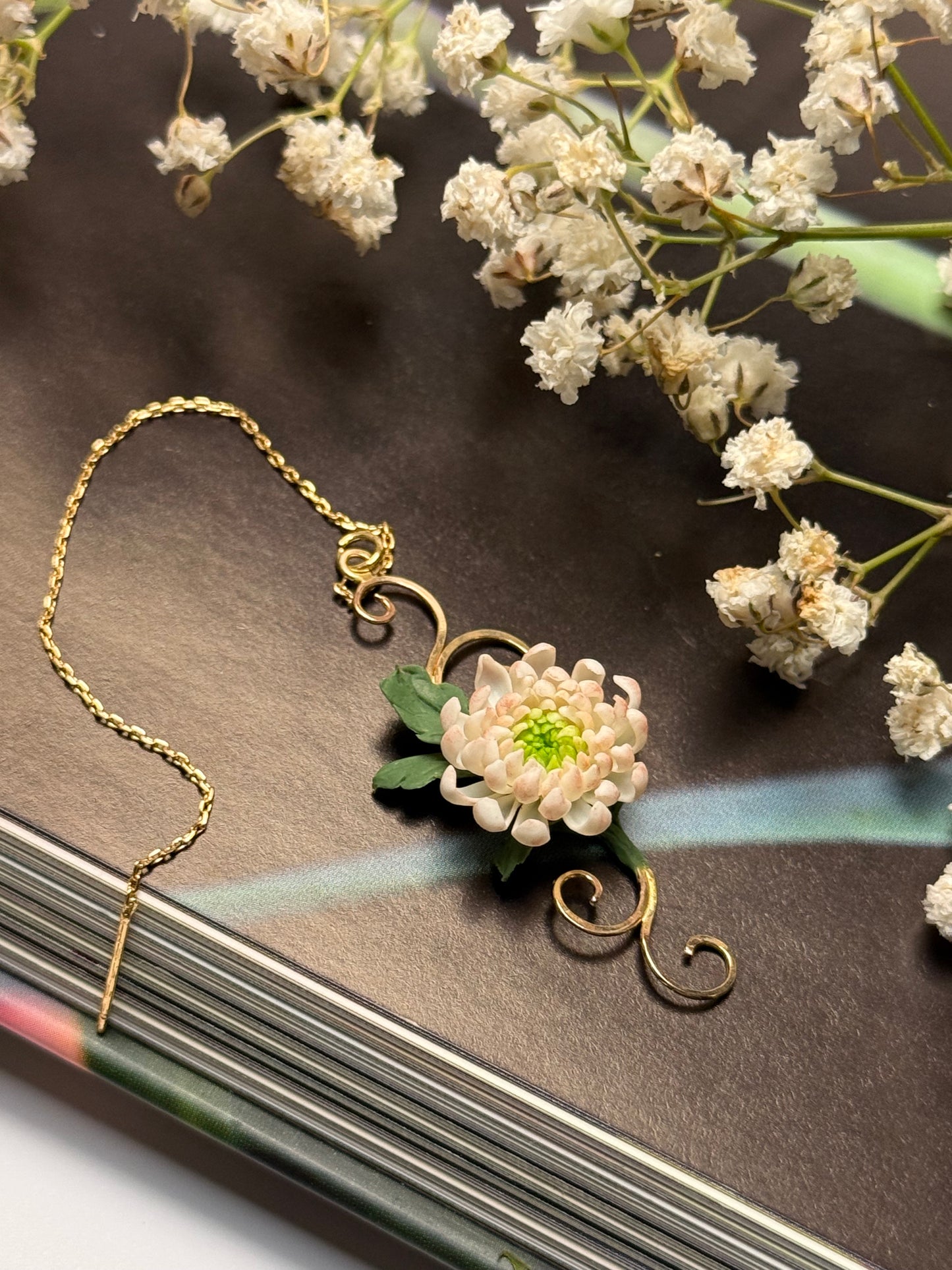 Aurelia: Chrysanthemum