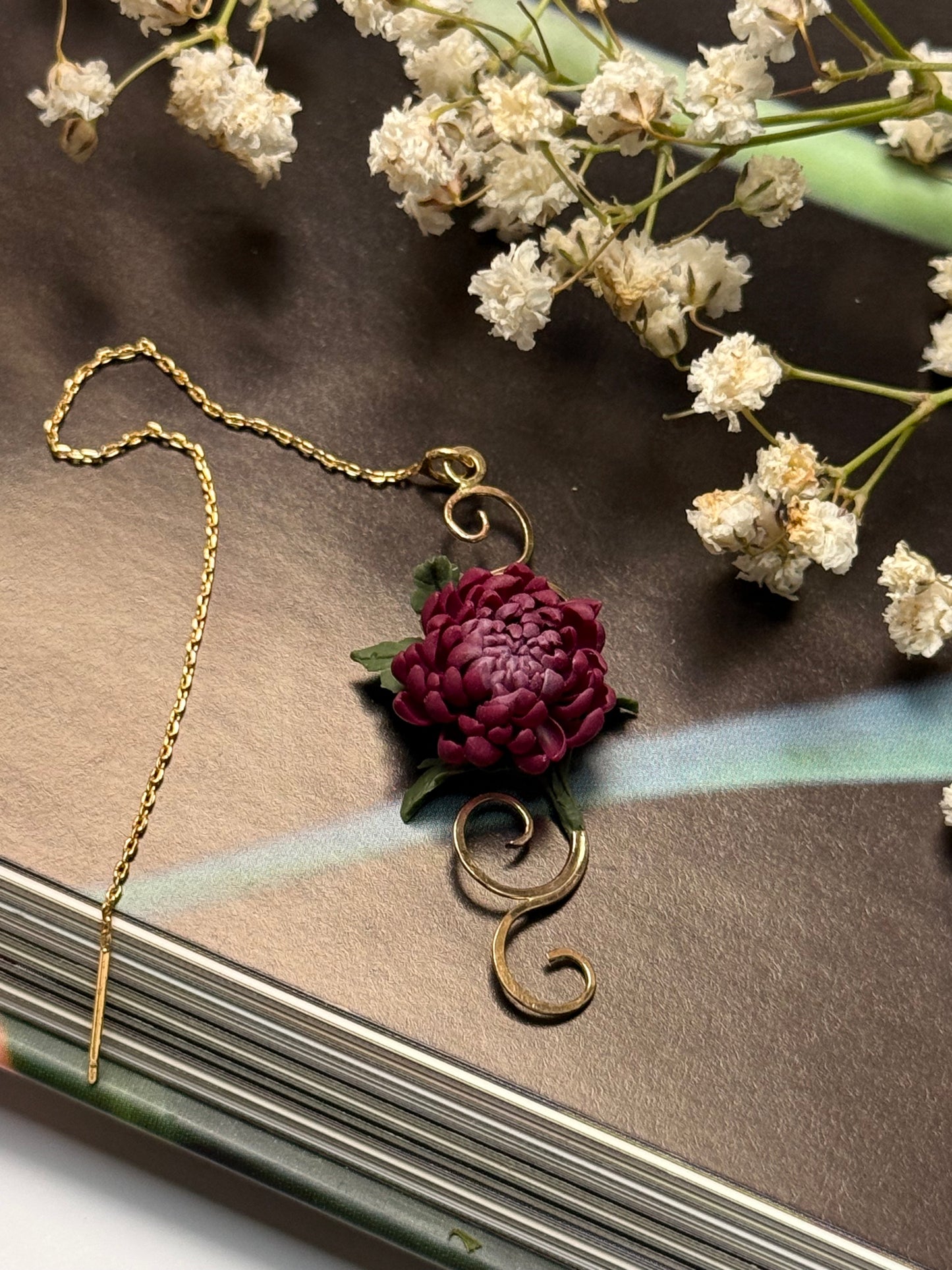 Aurelia: Chrysanthemum