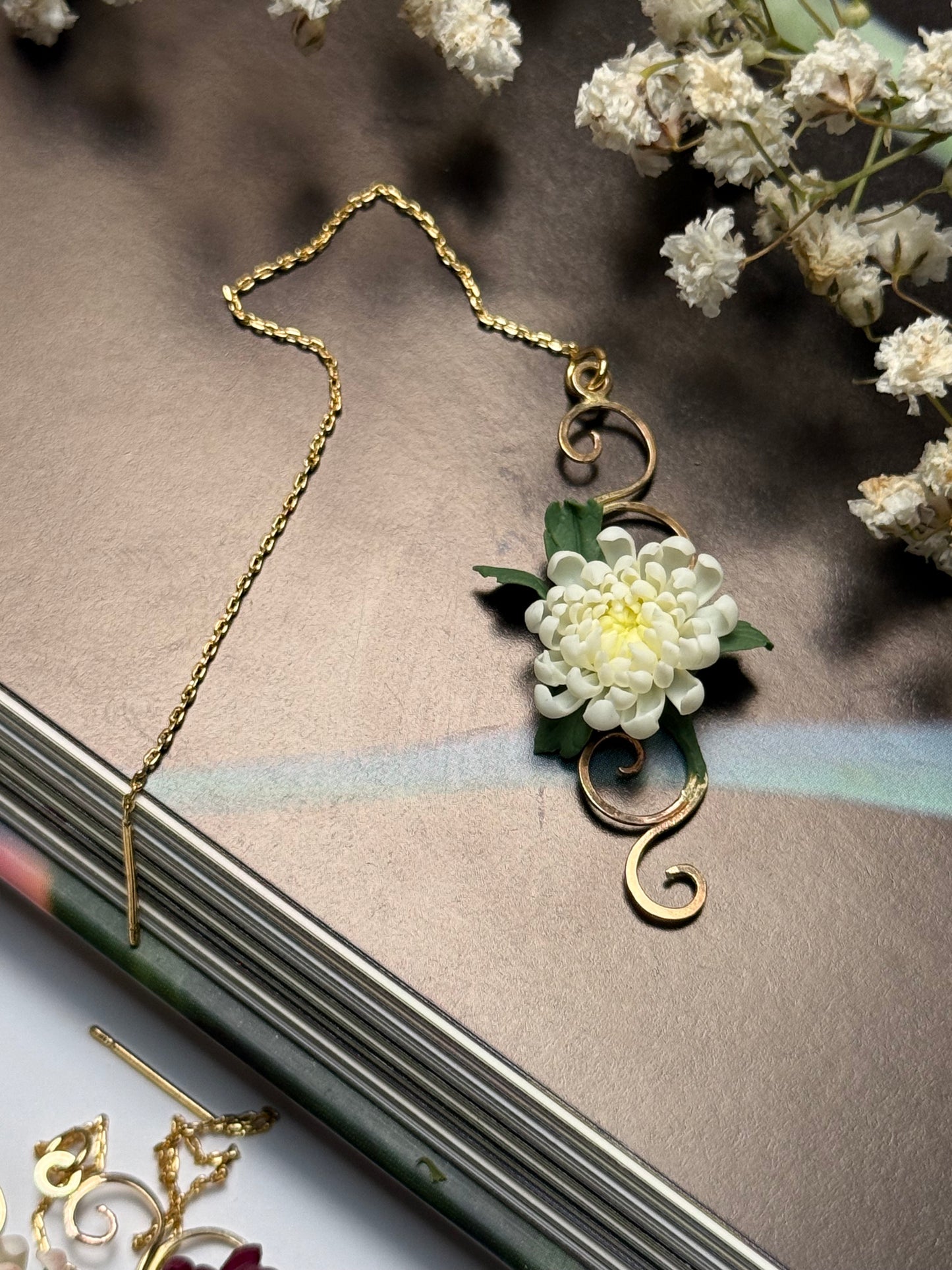 Aurelia: Chrysanthemum