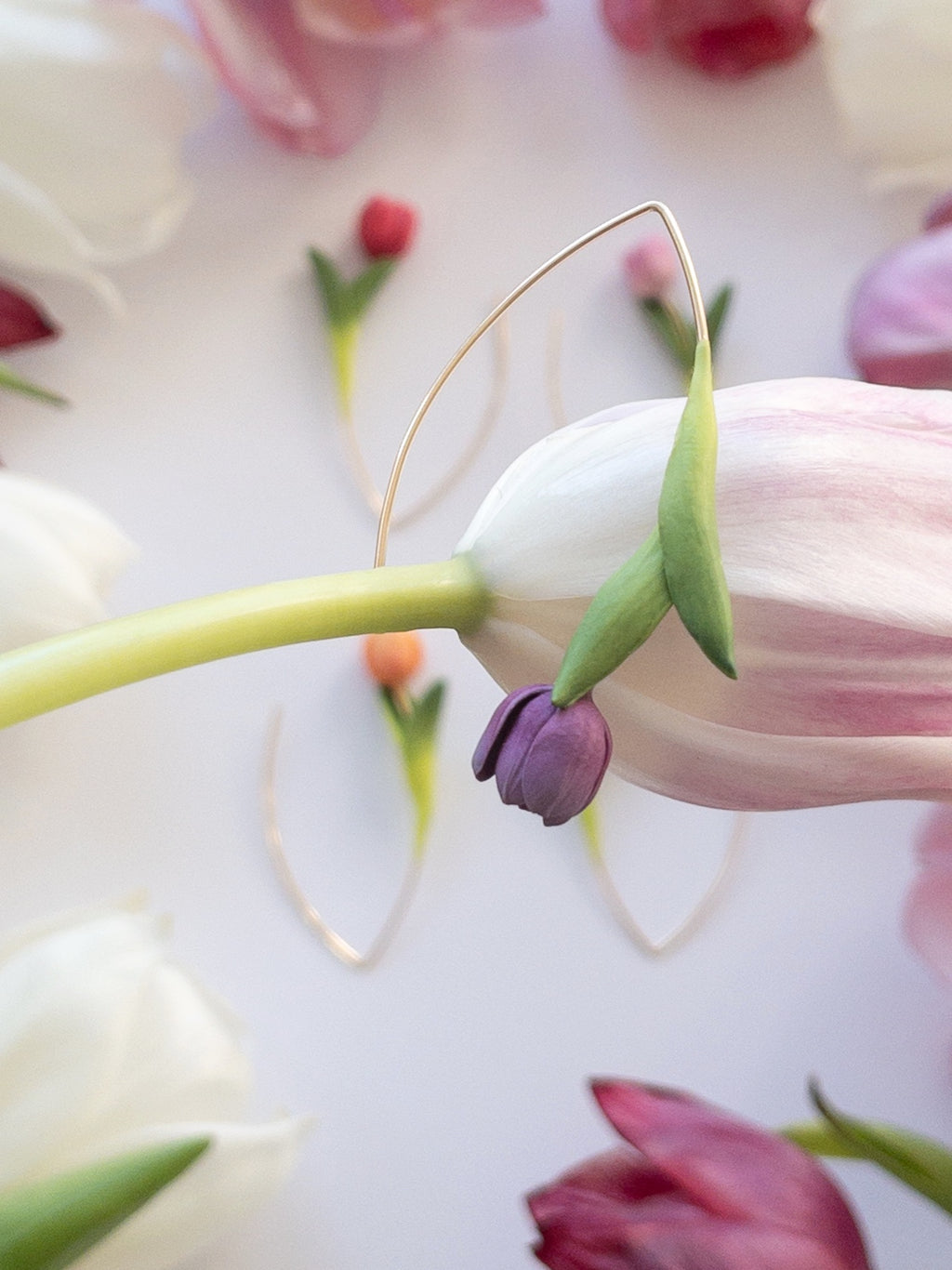 First Tulip Dangles: RENEWAL (5 Colors)