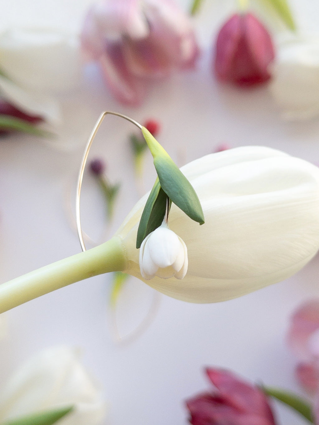 First Tulip Dangles: RENEWAL (5 Colors)